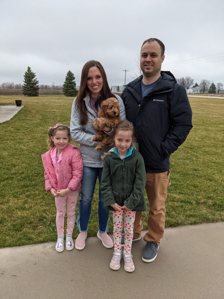 Golden Point puppy with a new family