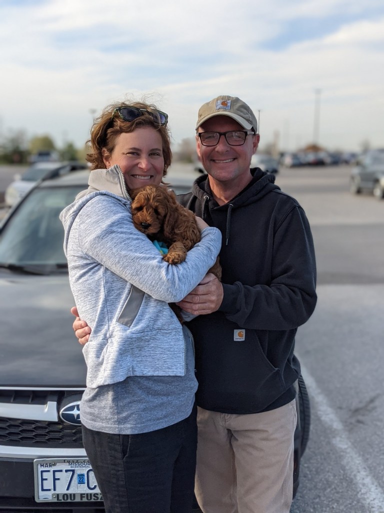 Golden Point puppy with a new family
