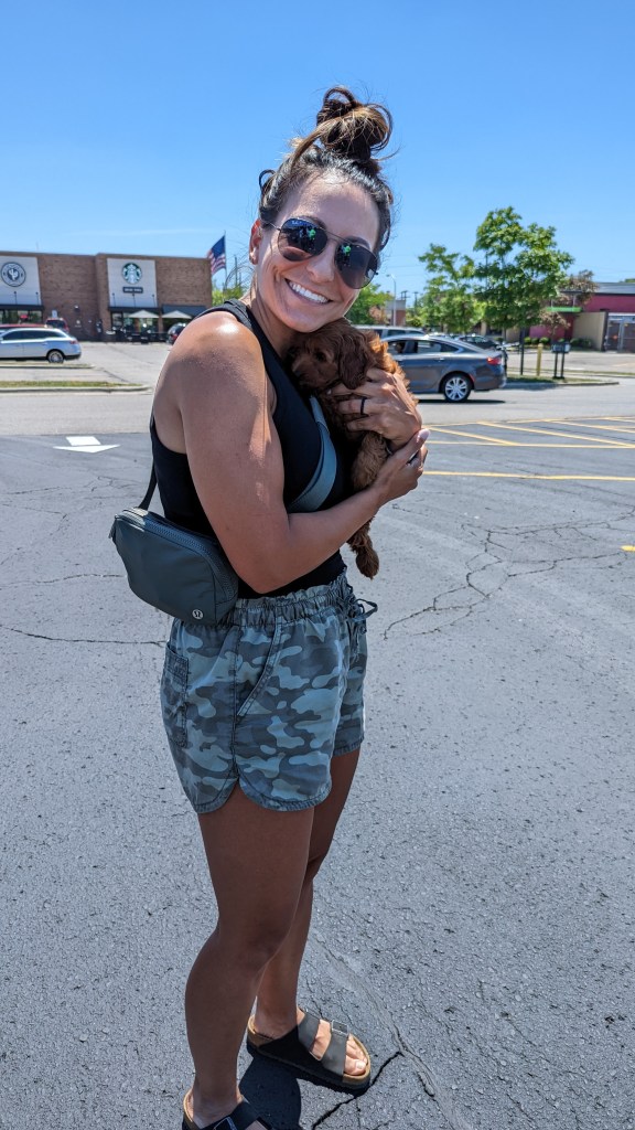 Golden Point puppy with a new family