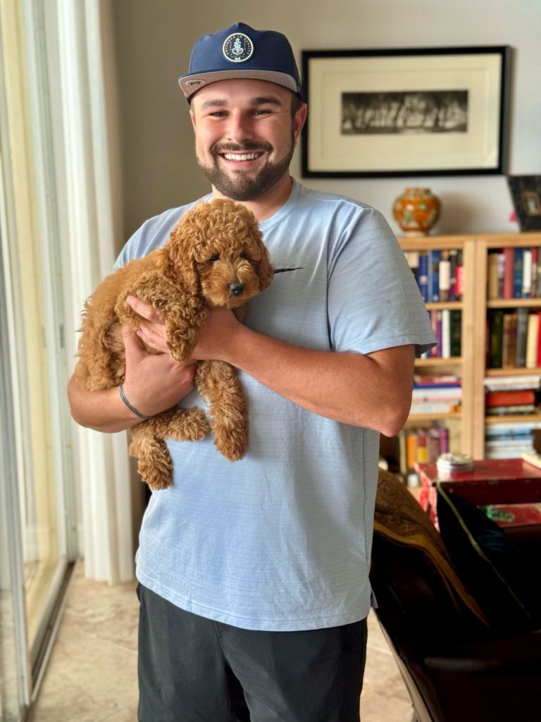 Golden Point puppy with a new family